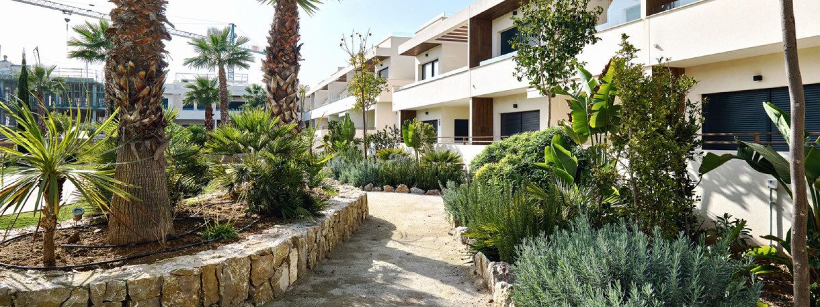 269_villa_amalia_mediterranean_gardens_78-00e6c4da1ea040f96cb03a56d5e75071