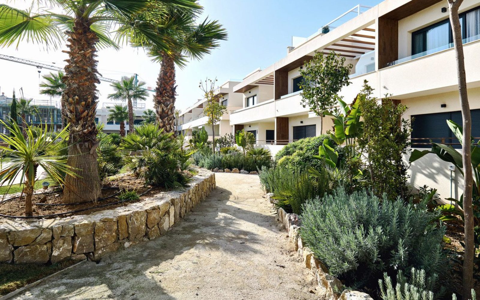 269_villa_amalia_mediterranean_gardens_78-00e6c4da1ea040f96cb03a56d5e75071