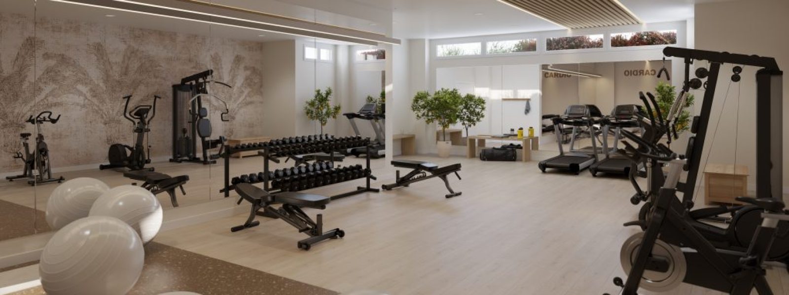 305_blossom_hills_gym_1-1024x576