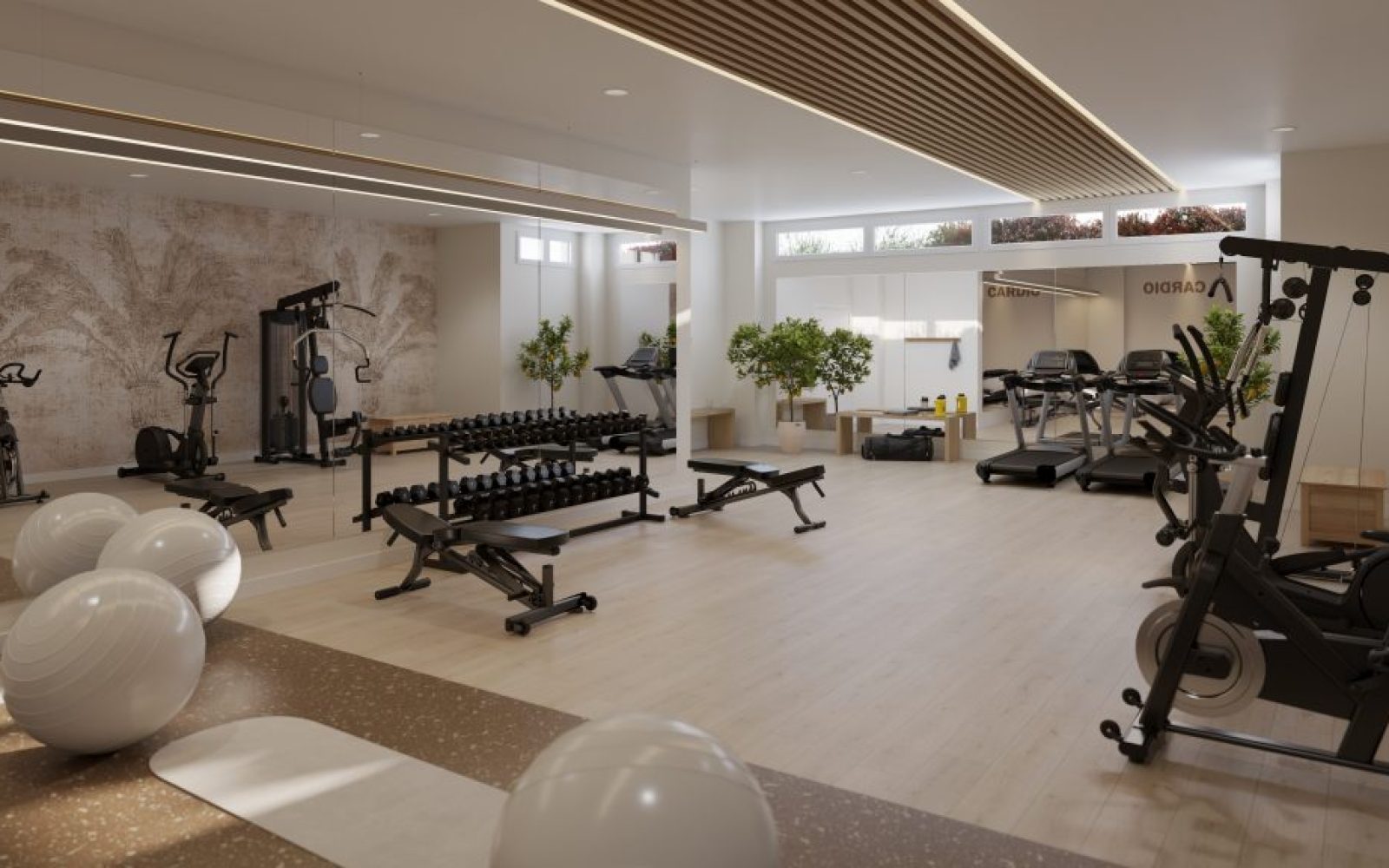 305_blossom_hills_gym_1-1024x576