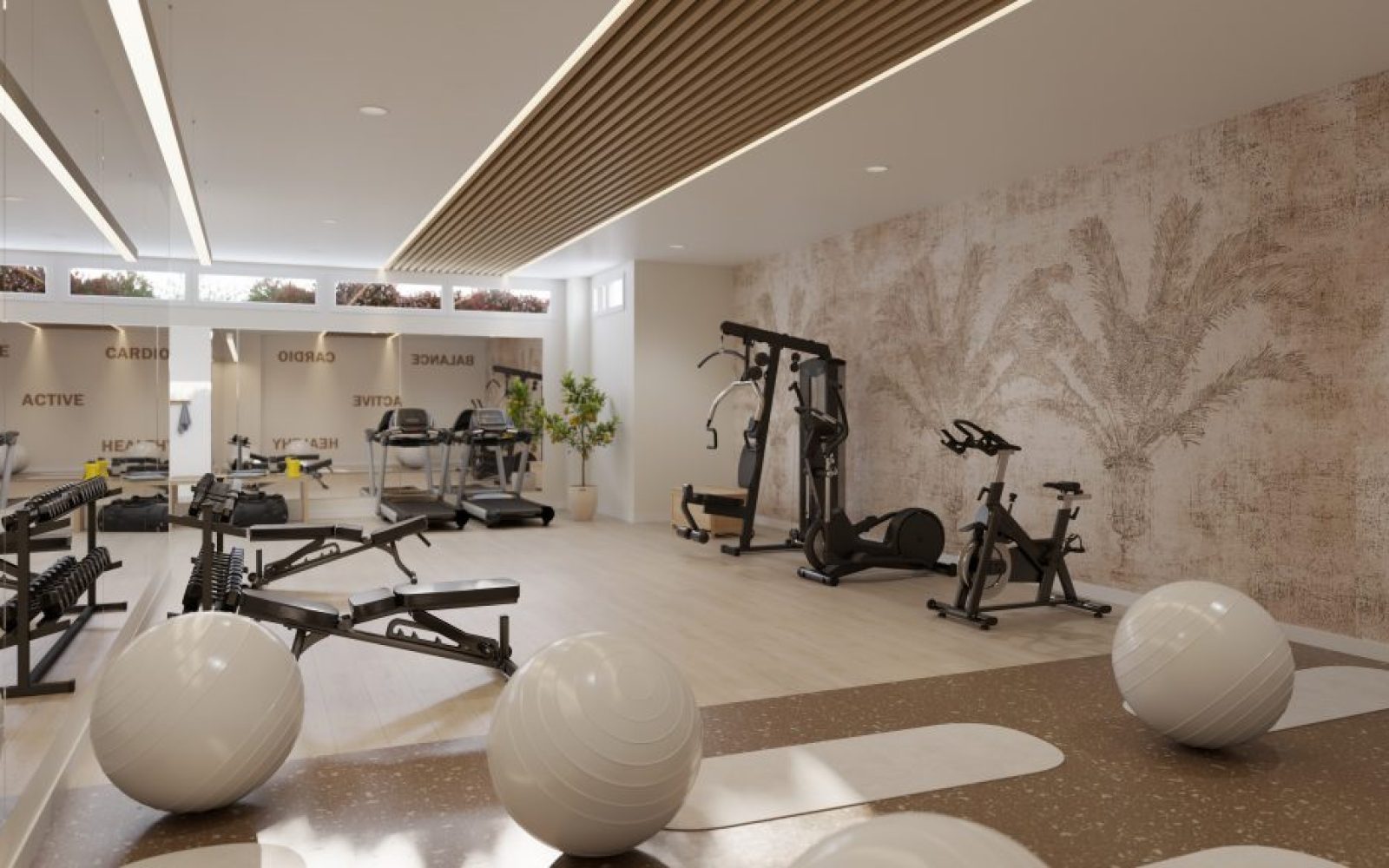 305_blossom_hills_gym_3-1024x576
